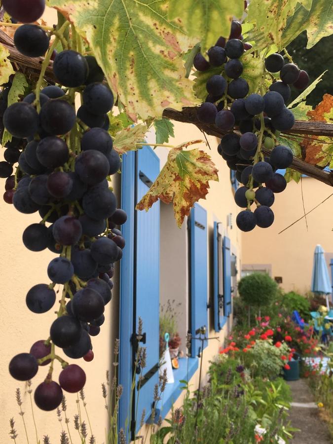 La Mesange Bleue Saint-Barthelemy (Haute-Saone) Exterior foto